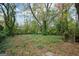 Spacious backyard with lush greenery and mature trees offering a private outdoor space at 1660 Rogers Sw Ave, Atlanta, GA 30310