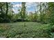 Expansive backyard with established trees and foliage at 1660 Rogers Sw Ave, Atlanta, GA 30310