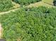 Lush, expansive land featuring dense trees offers a private and serene natural environment at 175 N Unity Grove Rd, Locust Grove, GA 30248