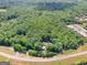 Aerial view of a home with trees surrounding it at 175 N Unity Grove Rd, Locust Grove, GA 30248