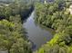 Aerial view of the lake surrounded by lush green trees at 96 Ashtonbrook Dr, Mcdonough, GA 30252