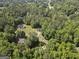 Scenic aerial view of a home nestled in a lush, green landscape with a river nearby at 96 Ashtonbrook Dr, Mcdonough, GA 30252