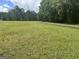 Lush green field showcasing a curved paved driveway and large trees at 1627 Leguin Mill Rd, Locust Grove, GA 30248