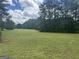 Green field featuring scattered trees under a cloudy blue sky at 1627 Leguin Mill Rd, Locust Grove, GA 30248