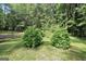 Backyard featuring manicured bushes with lush green grass and a wooded perimeter at 200 Camp Creek Trail, Peachtree City, GA 30269