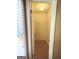 Compact walk-in closet offering functional shelving and storage space at 308 Bell Isle, Mcdonough, GA 30252