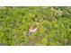 Overhead view of densely wooded land with a home and winding driveway at 679 Bo Bo Banks Rd, Grantville, GA 30220