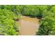 Aerial view shows the pond surrounded by a luscious green forest at 679 Bo Bo Banks Rd, Grantville, GA 30220