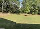 Expansive backyard with lush green lawn and mature trees providing ample shade at 101 Elkins Blvd, Locust Grove, GA 30248