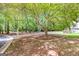 Mature tree over a landscaped yard with a mailbox and storage shed in the background at 10 Queens Ct, Sharpsburg, GA 30277