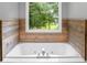 Luxurious bathtub with wood paneling and a view to the outdoors at 230 Shorewood Ct, Mcdonough, GA 30252