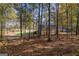 Backyard featuring mature trees, a house, and outbuildings at 335 Gum Creek Rd, Roopville, GA 30170