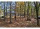 View of a backyard with a shed and a woodpile surrounded by trees at 335 Gum Creek Rd, Roopville, GA 30170