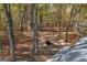 View of the backyard featuring trees, an outdoor fire pit, and a home with a metal roof at 335 Gum Creek Rd, Roopville, GA 30170