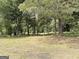 Spacious backyard with mature trees offering shade at 305 Anderson Cir, Covington, GA 30016