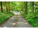 Driveway with mature trees bordering the sides leading to the home at 465 Willowbrook Dr, Smyrna, GA 30082
