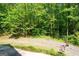 Lush, wooded lot offering privacy and natural beauty at 465 Willowbrook Dr, Smyrna, GA 30082