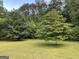 The lush backyard features mature trees and a meticulously maintained lawn at 2451 Old Salem Se Cir, Conyers, GA 30013