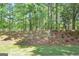 Beautiful backyard with lush greenery and natural landscaping creating a serene outdoor space at 1155 Graystone Xing, Alpharetta, GA 30005