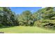 Vast backyard featuring lush green grass, a secure fence, and privacy trees at 1010 Elaine Ct, Mcdonough, GA 30252