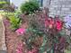 A home's lush front yard features colorful plants and bushes at 1762 Wood Stork Drive, Hampton, GA 30228