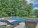 Inground pool with spa surrounded by lush landscaping at 205 Somerset Ct, Mcdonough, GA 30253