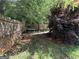 Fenced backyard with greenery and mature trees at 257 Juliet Dr, Hampton, GA 30228