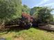 Backyard featuring a wooden deck, lush greenery, and mature trees at 257 Juliet Dr, Hampton, GA 30228