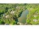 Overhead shot of a beautiful pond surrounded by lush greenery and houses at 226 Le Paradis Blvd, Sharpsburg, GA 30277