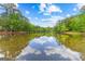 Still pond reflecting blue sky and trees on a clear day, showcasing the natural beauty of the surrounding landscape at 226 Le Paradis Blvd, Sharpsburg, GA 30277