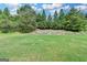Expansive backyard features a lush green lawn and mature trees at 1370 Sunnys Halo Dr, Suwanee, GA 30024