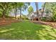 Spacious backyard featuring a large grassy area, mature trees, and a deck, perfect for outdoor enjoyment at 229 Terrane Rdg, Peachtree City, GA 30269