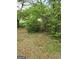 An overgrown area of the backyard with lush green bushes at 957 Astor Ave, Forest Park, GA 30297