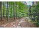 Sloping wooded backyard with a stone path leads to the home's lower level at 1214 Weatherstone Way, Peachtree City, GA 30269