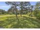 Expansive green lawn with mature trees offering shade, perfect for outdoor activities and relaxation at 6023 Highway 20 S, Covington, GA 30016