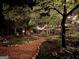Night view of backyard landscaping including walking path and ambient lights at 120 Tall Pine Dr, Fayetteville, GA 30214