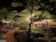 Inviting backyard area featuring an outdoor dining space illuminated with string lights and lush landscaping at 120 Tall Pine Dr, Fayetteville, GA 30214