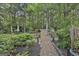 Landscaped backyard with stone pathway, seating, and mature trees, offering a serene outdoor experience at 120 Tall Pine Dr, Fayetteville, GA 30214
