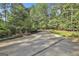 Long driveway surrounded by mature trees, grass, and manicured landscaping at 120 Tall Pine Dr, Fayetteville, GA 30214