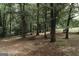 Beautiful wooded backyard with mature trees, perfect for nature lovers and outdoor activities at 8394 Banks Mill Rd, Douglasville, GA 30135
