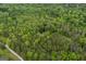 Aerial image of a house nestled among leafy trees, accessible via a private road at 6605 Old White Mill Rd, Fairburn, GA 30213