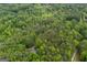 Aerial view of a house almost completely concealed among tall leafy trees, featuring a private access road at 6605 Old White Mill Rd, Fairburn, GA 30213
