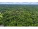 Lush aerial view of a wooded property with green trees extending to the horizon under a partly cloudy blue sky at 6605 Old White Mill Rd, Fairburn, GA 30213