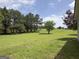 Lush green yard with mature trees and a clear blue sky, offering a peaceful and natural outdoor setting at 105 Carols Ln, Locust Grove, GA 30248