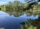 Picture of the still pond, reflecting the trees on its bank at 3136 Camp Branch Rd, Buford, GA 30519