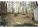 Expansive wooded backyard provides a serene natural setting with mature trees and foliage at 142 Kylee Ct, Villa Rica, GA 30180