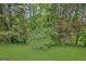 Lush landscaping and mature trees create a secluded and private atmosphere for the backyard at 2795 Hawthorne Dr, Atlanta, GA 30345