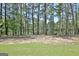 Scenic view of a peaceful pond surrounded by mature trees, creating a tranquil and natural setting at 82 Airmont Dr, Sharpsburg, GA 30277