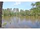 Calm pond view with mature trees lining the shore, providing a tranquil setting and beautiful natural scenery at 82 Airmont Dr, Sharpsburg, GA 30277