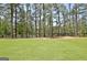 Picturesque view of a serene pond, framed by towering trees, offering a peaceful natural ambiance at 82 Airmont Dr, Sharpsburg, GA 30277